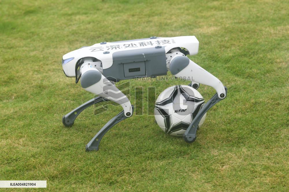 Robotic Dogs Play Soccer