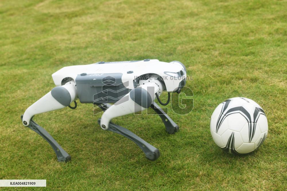 Robotic Dogs Play Soccer