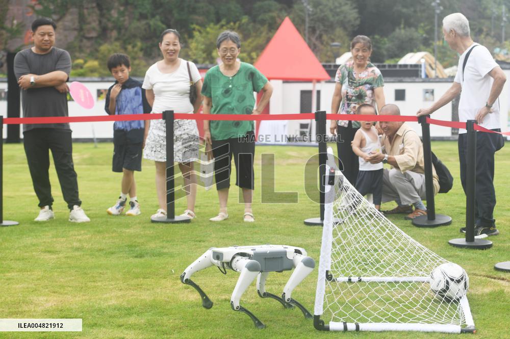 Robotic Dogs Play Soccer