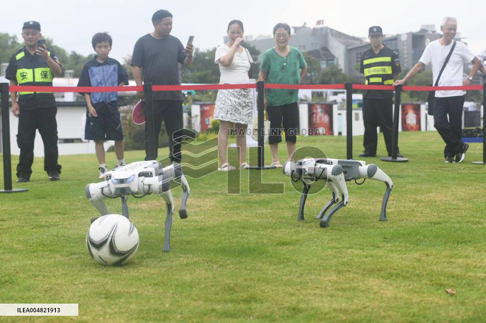 Robotic Dogs Play Soccer