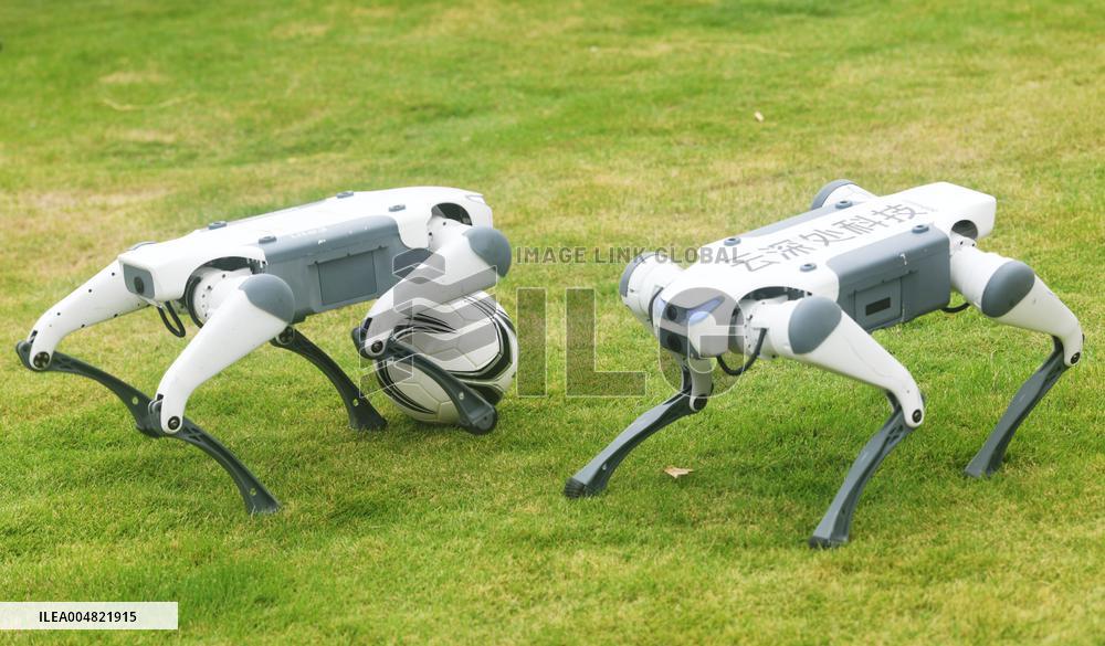 Robotic Dogs Play Soccer