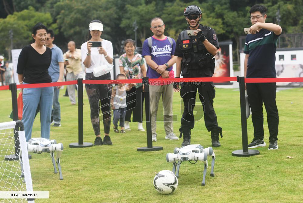Robotic Dogs Play Soccer