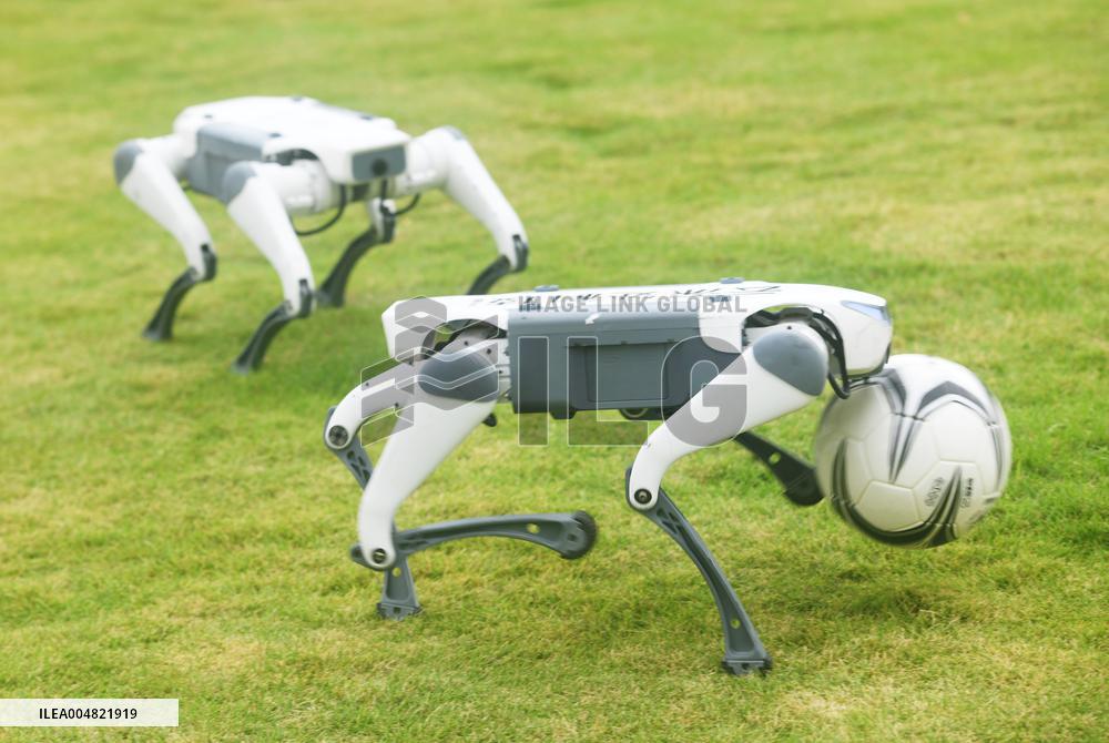 Robotic Dogs Play Soccer
