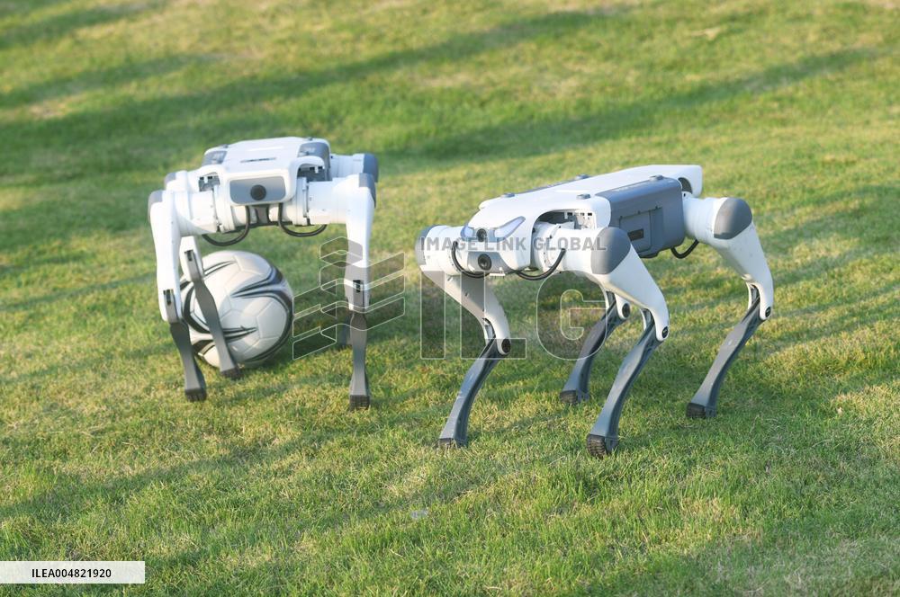 Robotic Dogs Play Soccer