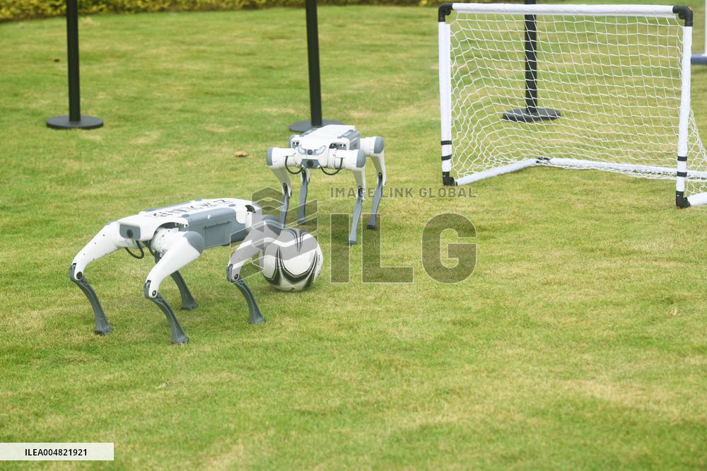Robotic Dogs Play Soccer