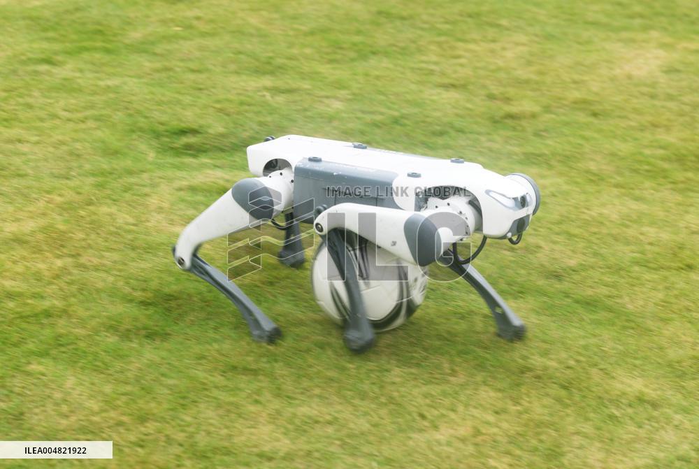 Robotic Dogs Play Soccer