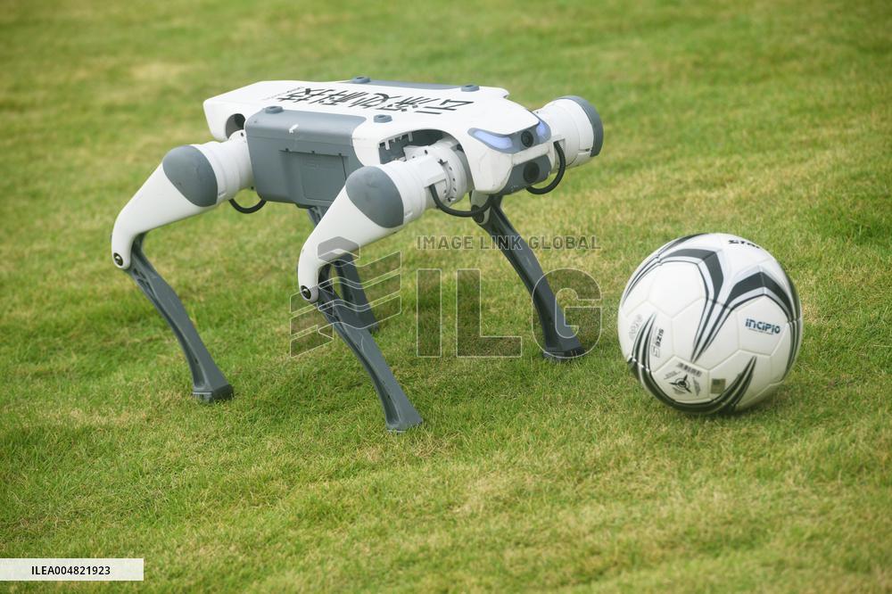 Robotic Dogs Play Soccer
