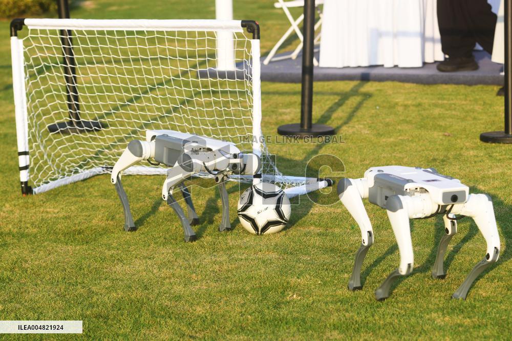 Robotic Dogs Play Soccer