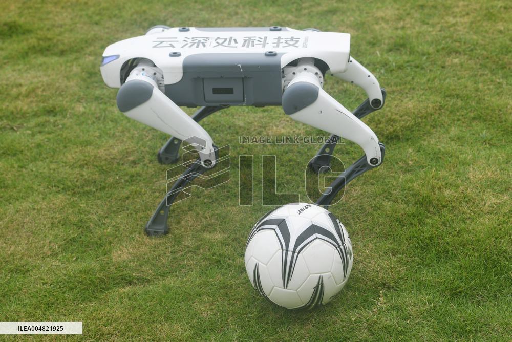 Robotic Dogs Play Soccer