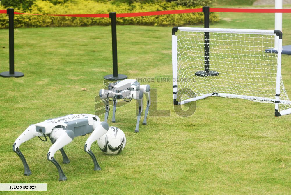 Robotic Dogs Play Soccer