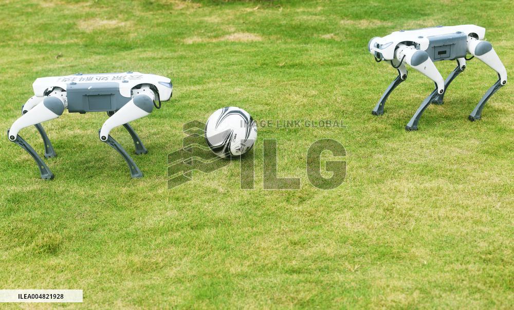 Robotic Dogs Play Soccer