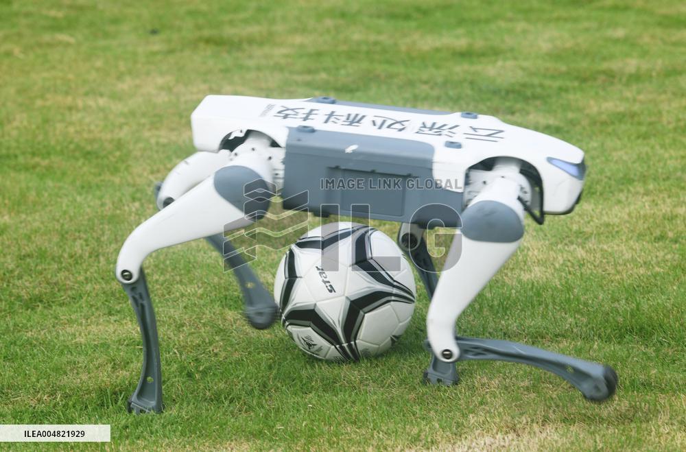 Robotic Dogs Play Soccer