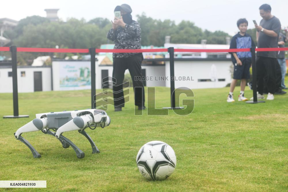 Robotic Dogs Play Soccer