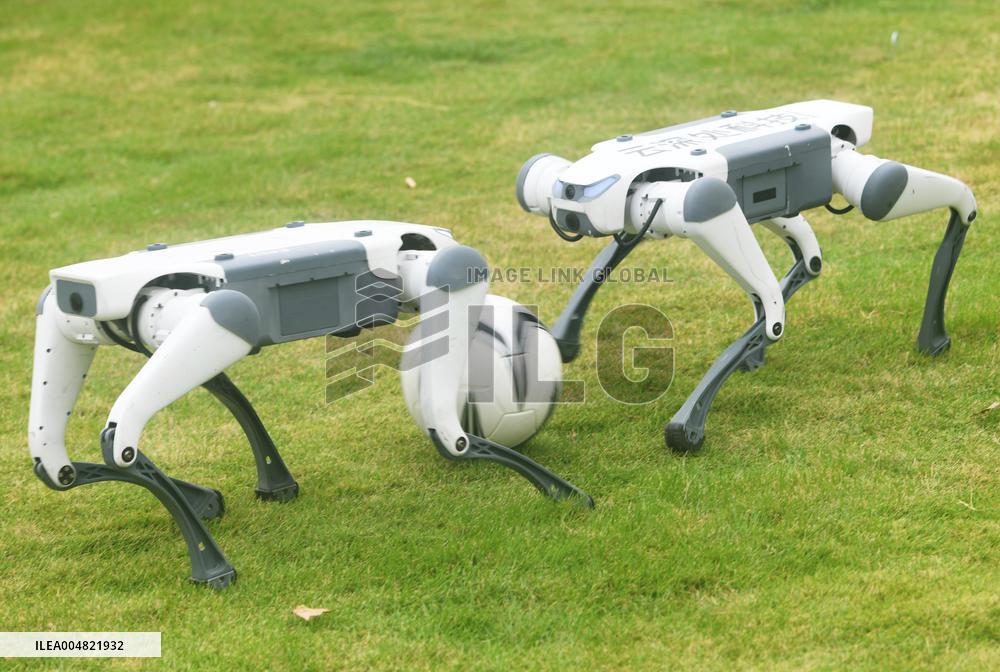 Robotic Dogs Play Soccer