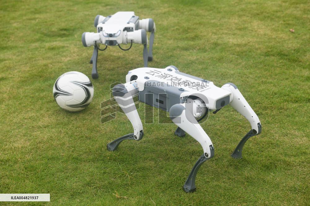 Robotic Dogs Play Soccer