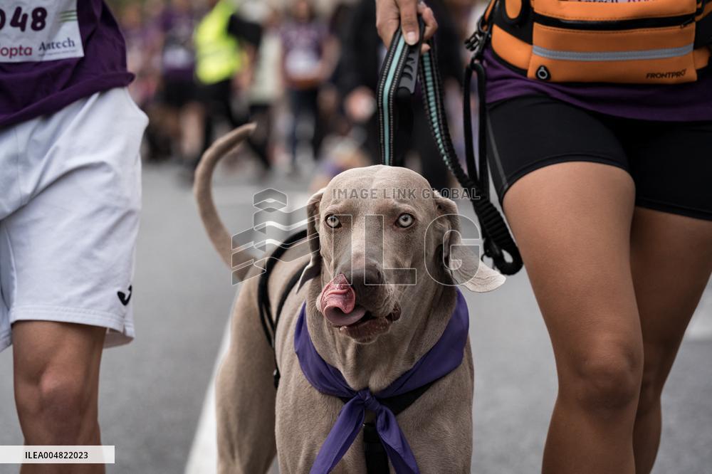 Celebration of the XIV Perrotón Madrid