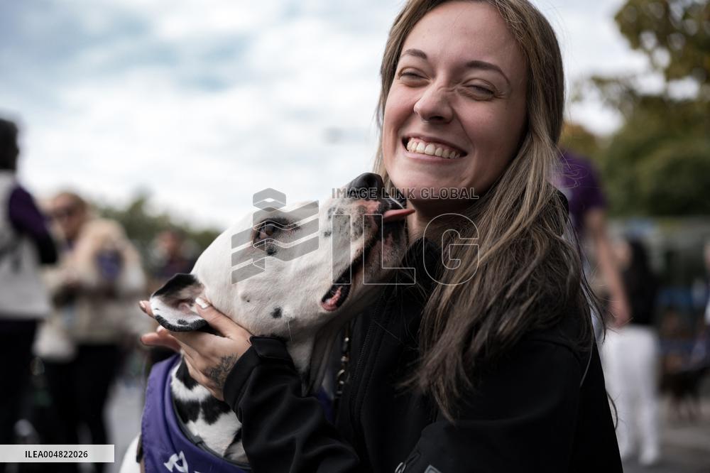 Celebration of the XIV Perrotón Madrid