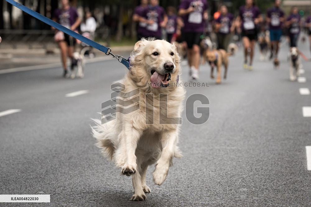Celebration of the XIV Perrotón Madrid
