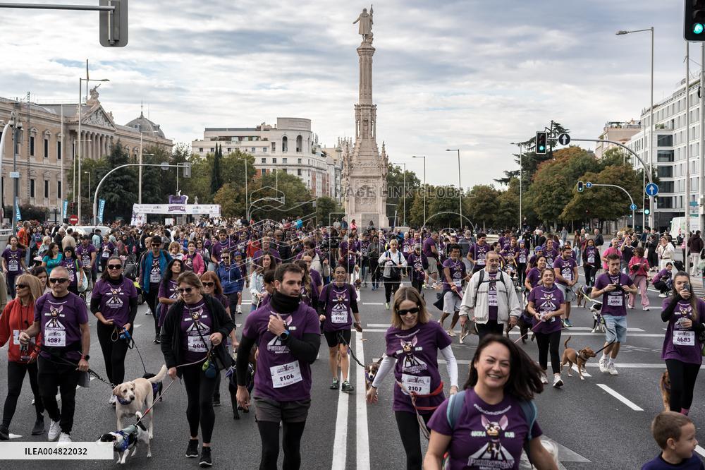 Celebration of the XIV Perrotón Madrid