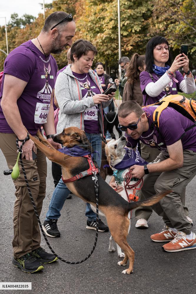 Celebration of the XIV Perrotón Madrid