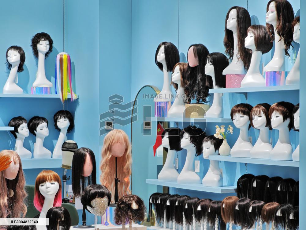 The Global Wig  Market