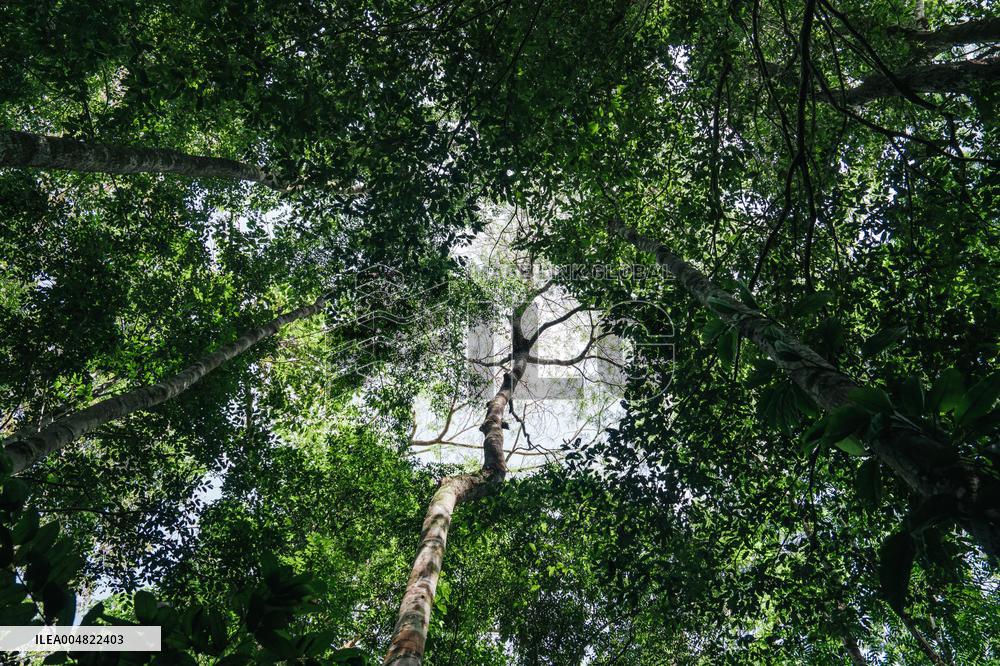 Urca Oil and Gas Production Field Development - Brazil