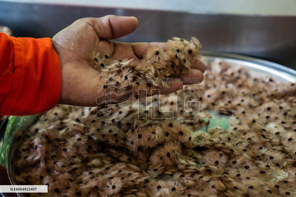 Urca Oil and Gas Production Field Development - Brazil