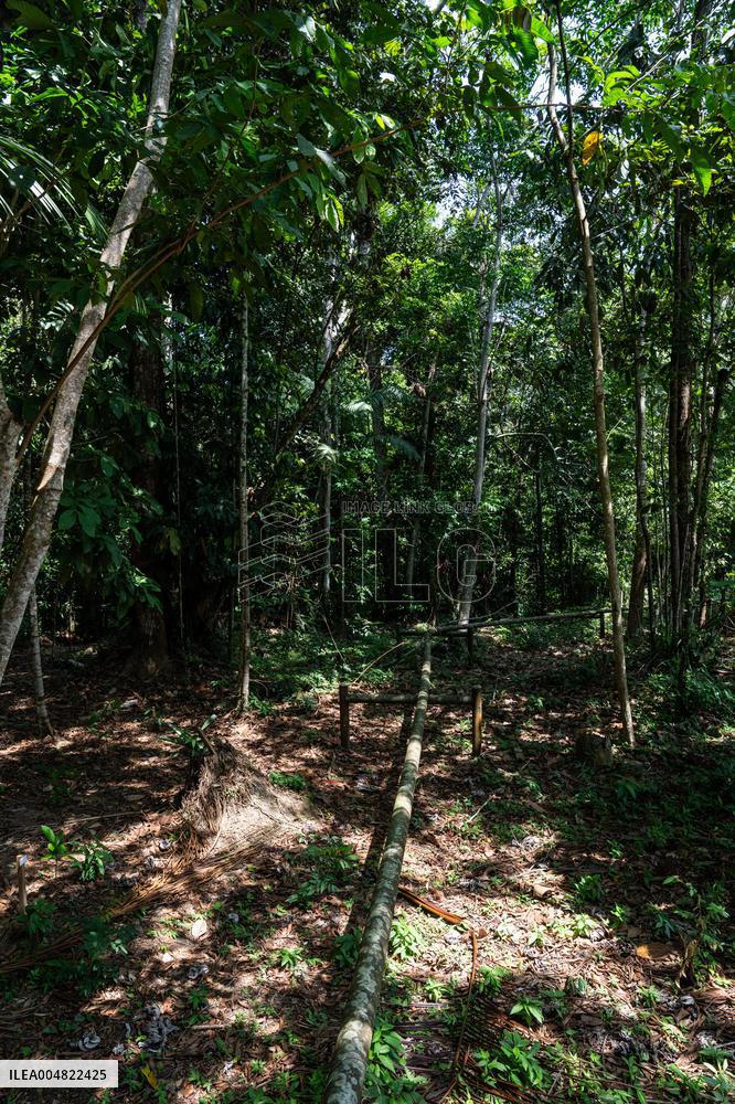 Urca Oil and Gas Production Field Development - Brazil