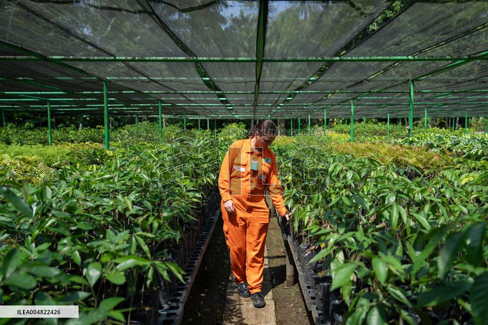 Urca Oil and Gas Production Field Development - Brazil