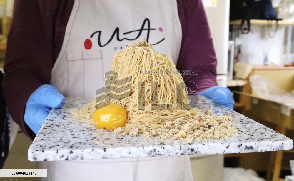 Mont Blanc dessert served on Inada stone plate
