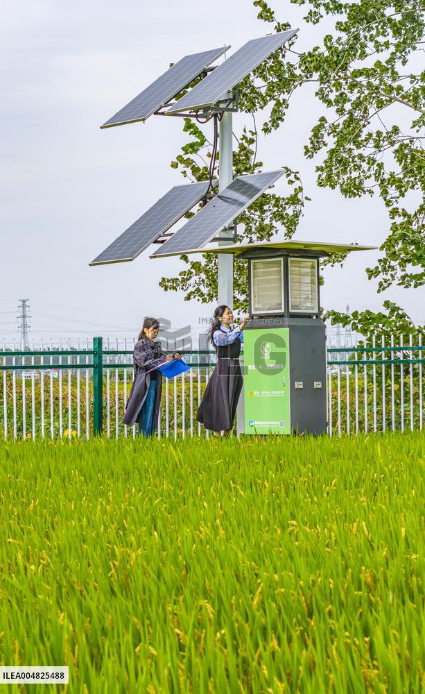 Modern Agricultural Industrial Park Crop Insect Monitoring Station
