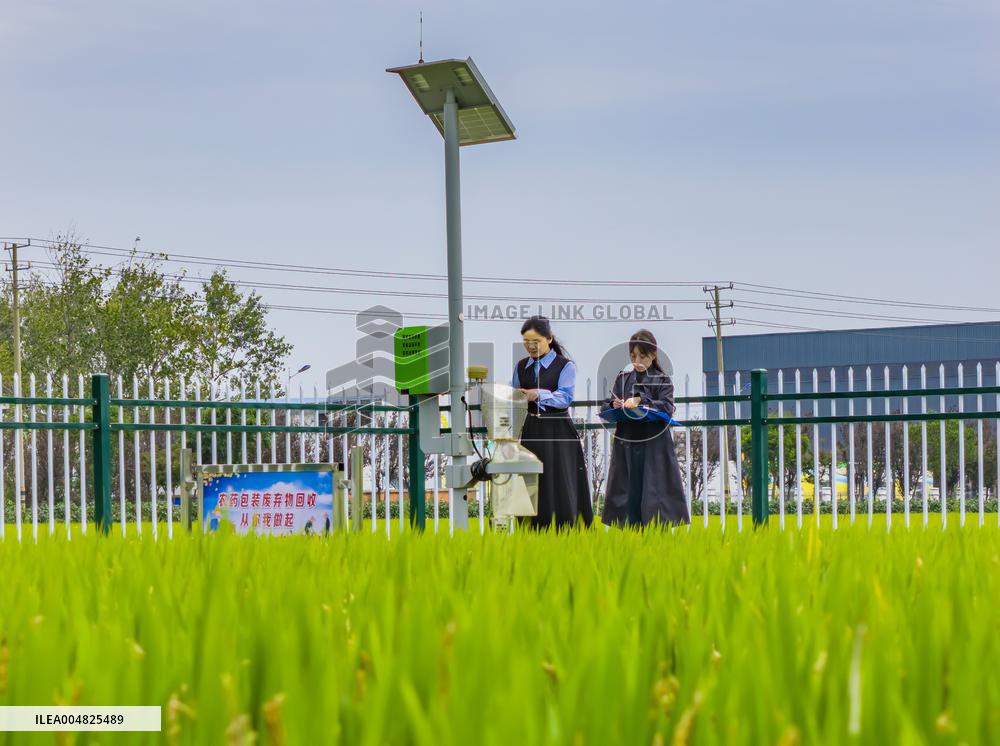Modern Agricultural Industrial Park Crop Insect Monitoring Station