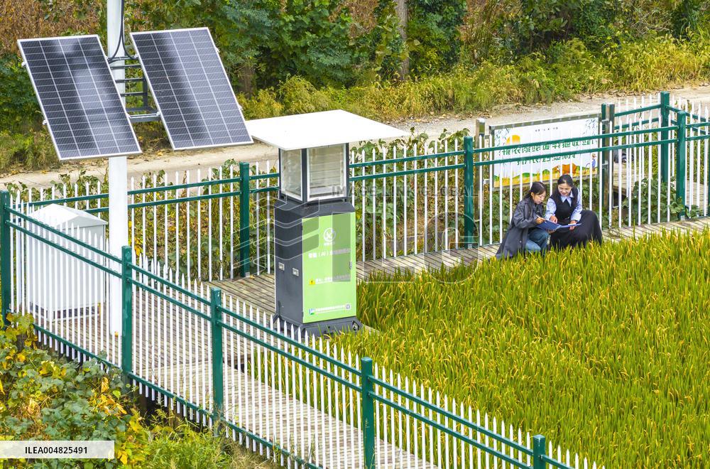 Modern Agricultural Industrial Park Crop Insect Monitoring Station