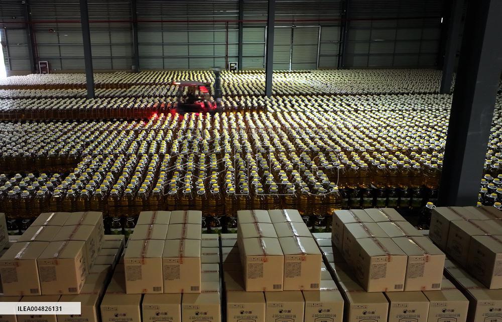 China Online Anchor Industry