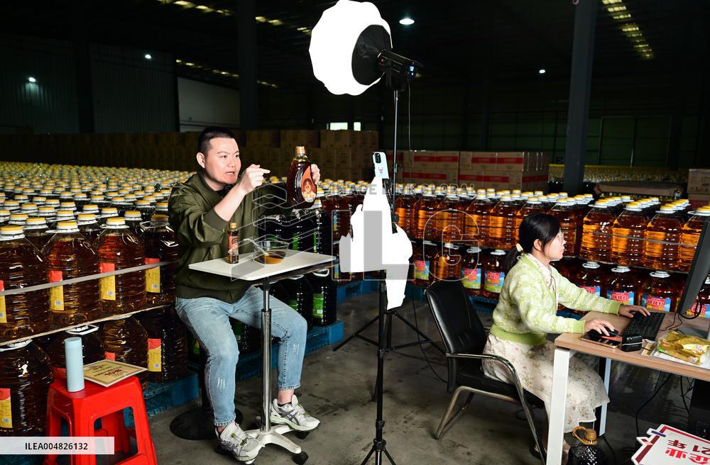 China Online Anchor Industry