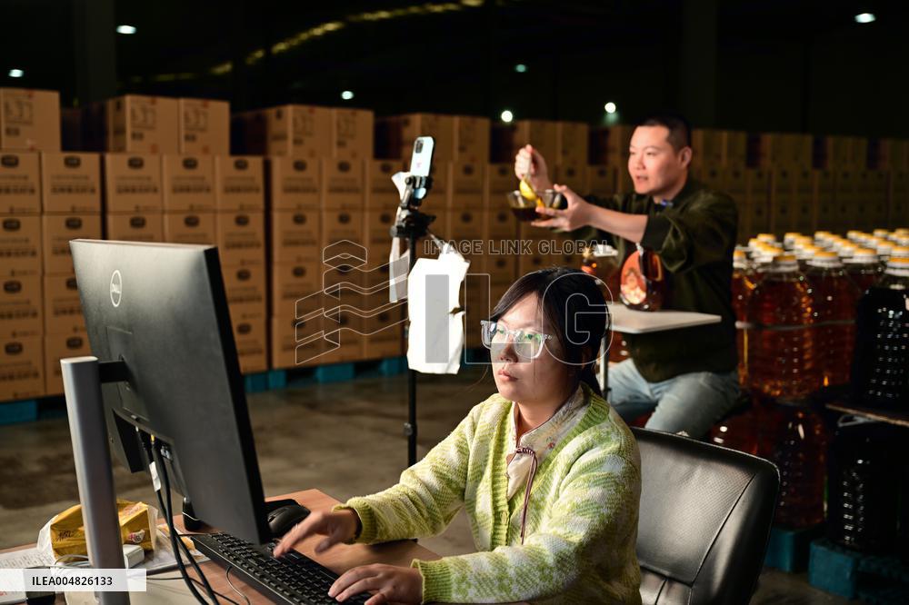 China Online Anchor Industry