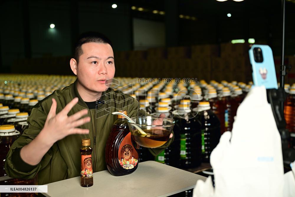 China Online Anchor Industry