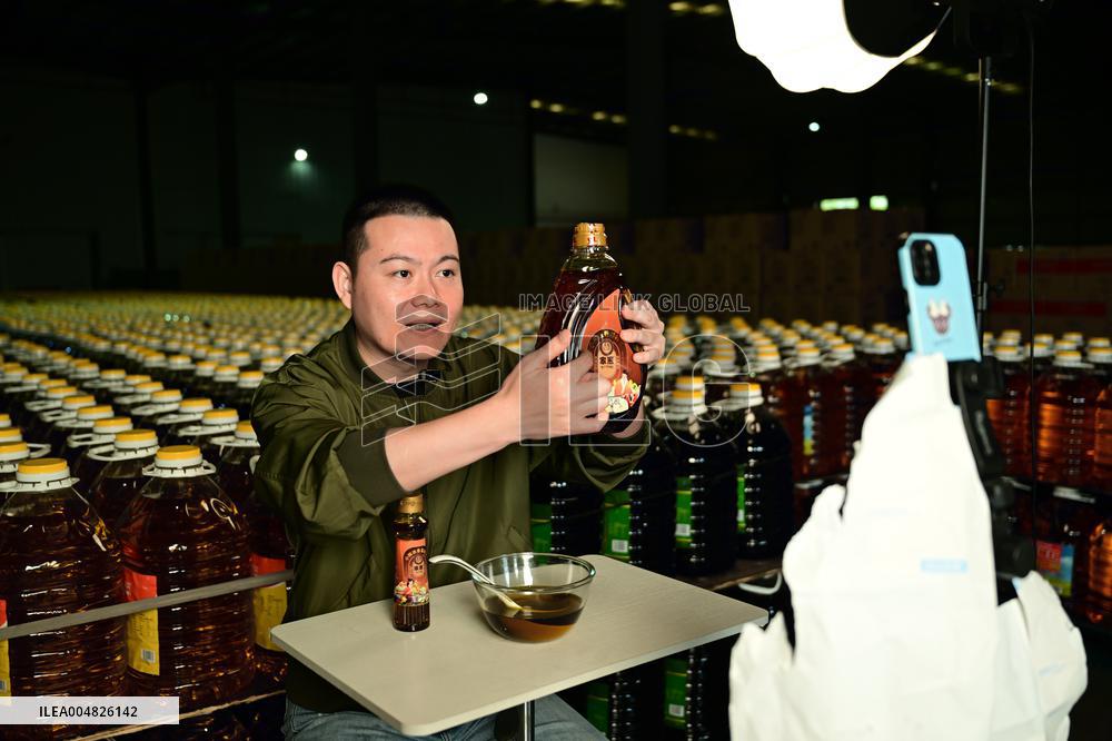 China Online Anchor Industry