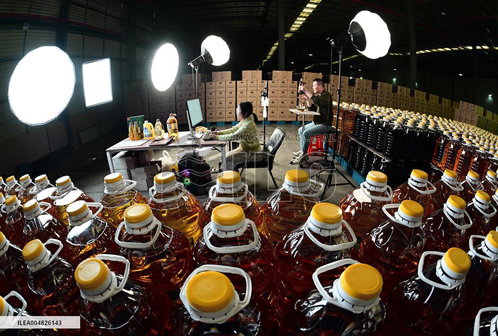 China Online Anchor Industry