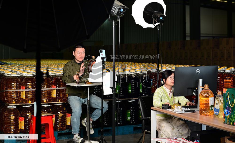 China Online Anchor Industry