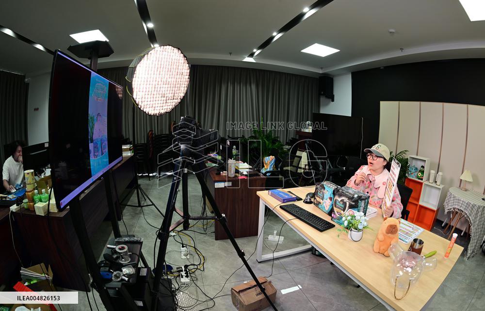 China Online Anchor Industry