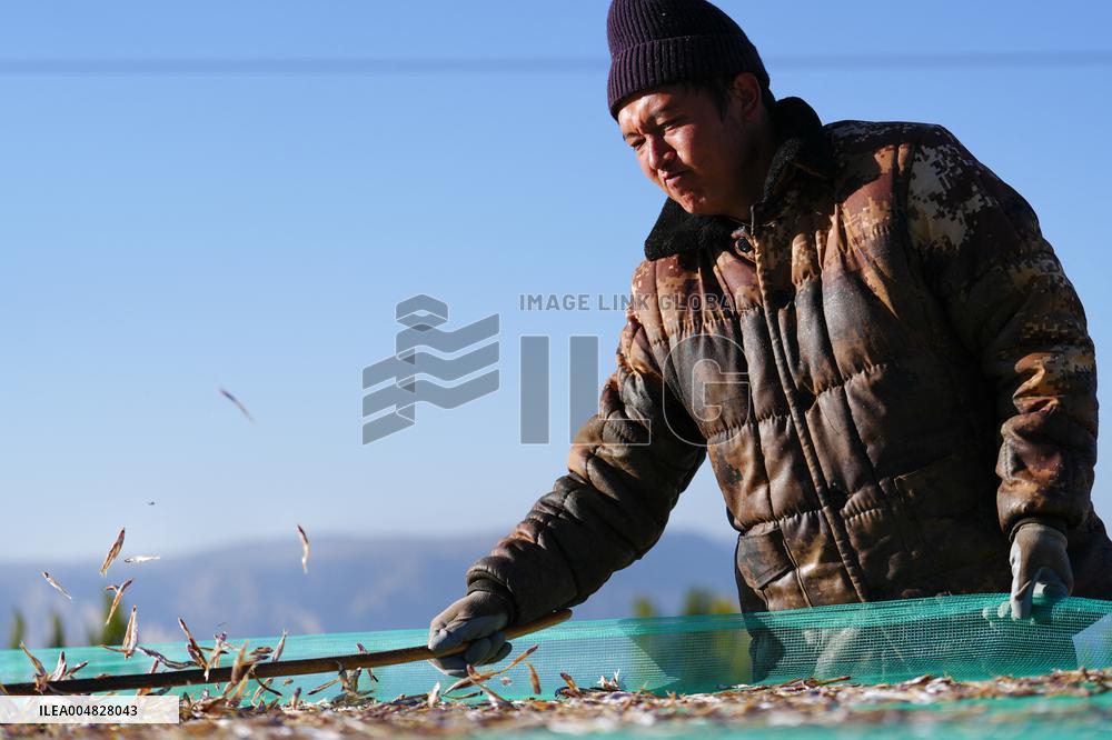 Longyang Gorge Fishery Tourism Development - China