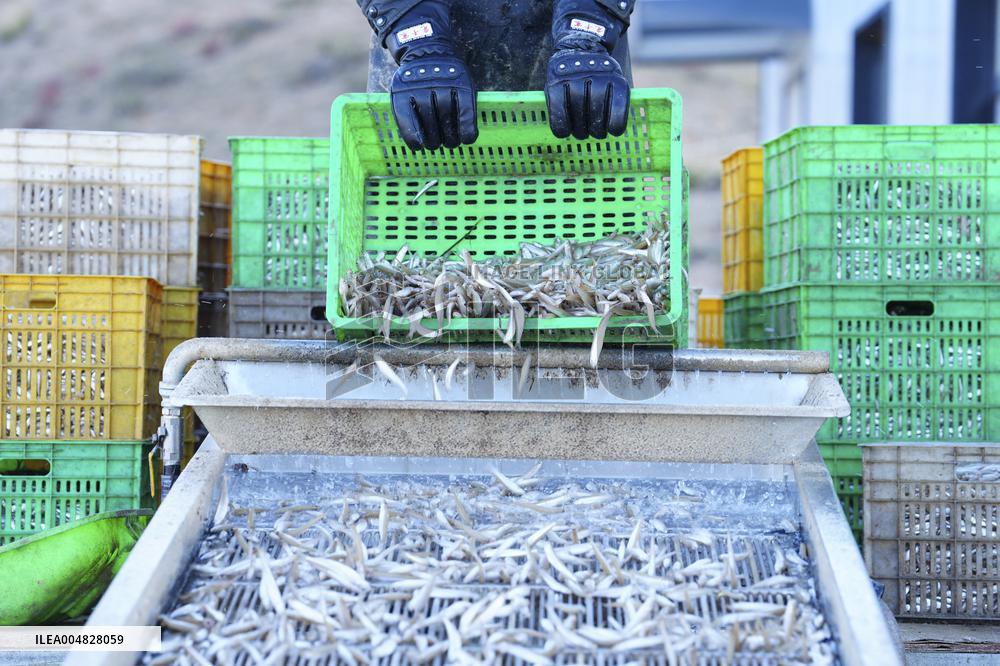 Longyang Gorge Fishery Tourism Development - China