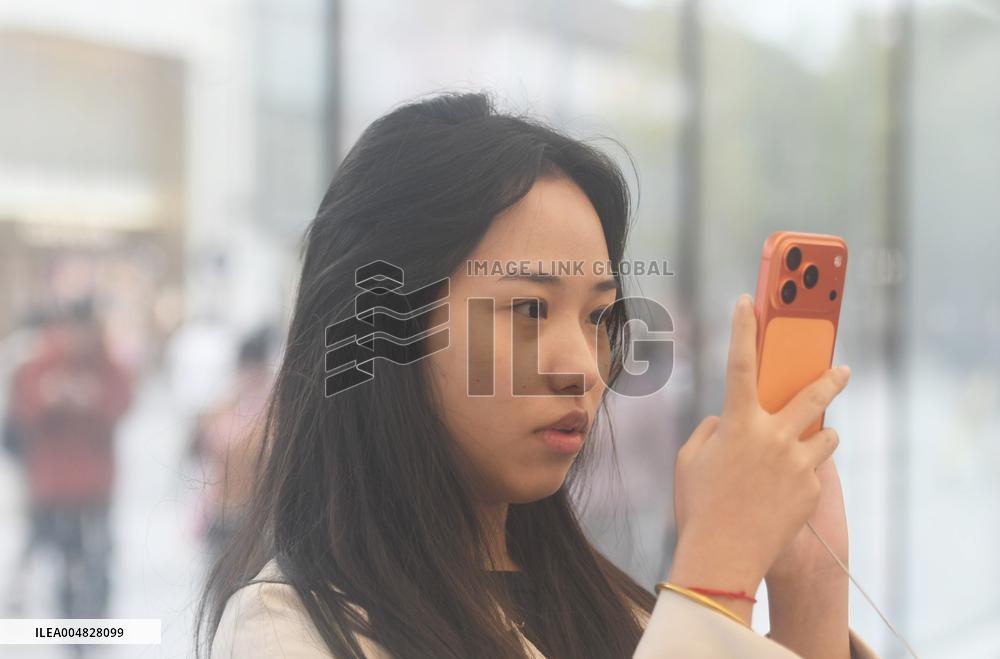 Apple Stock Price Risen