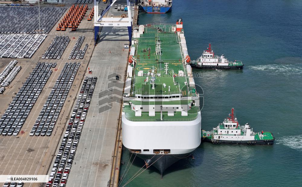 China's Automobile Exports Growth in 2025