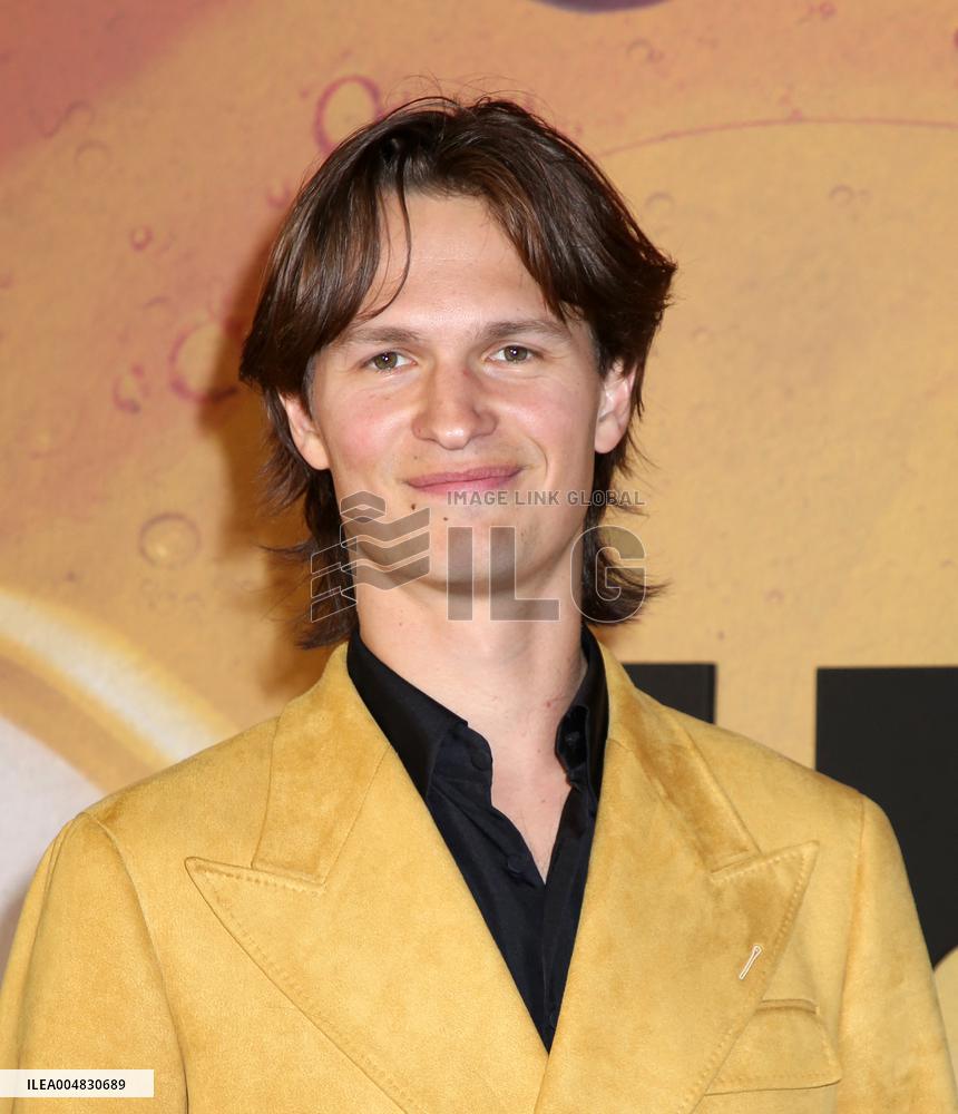 'Bugonia' New York Premiere