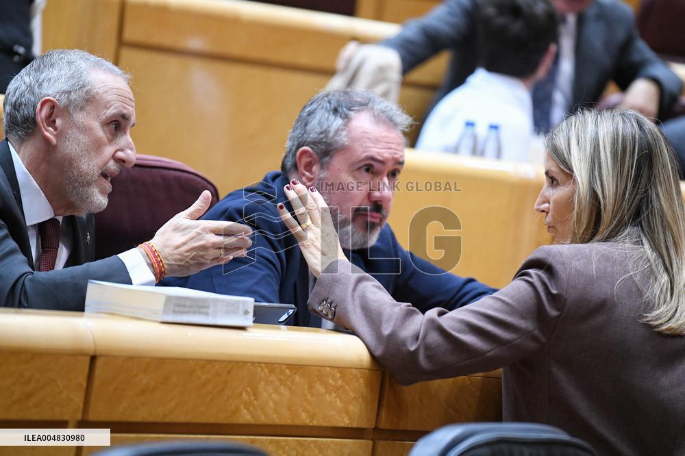 Government Faces Economic Questions in Senate - Madrid