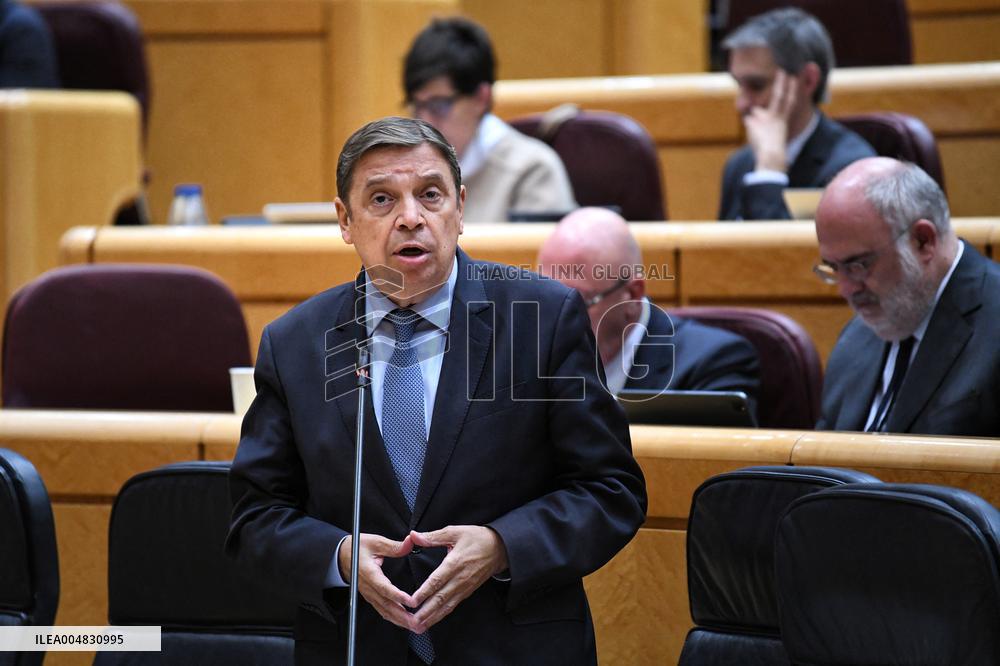 Government Faces Economic Questions in Senate - Madrid