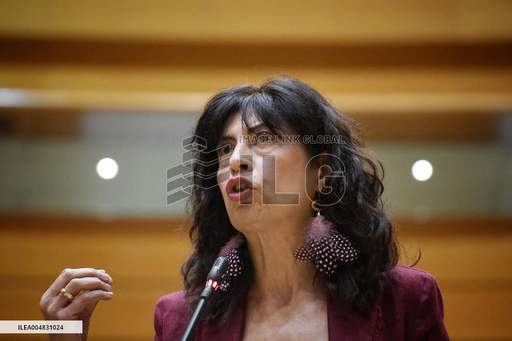 Government Faces Economic Questions in Senate - Madrid