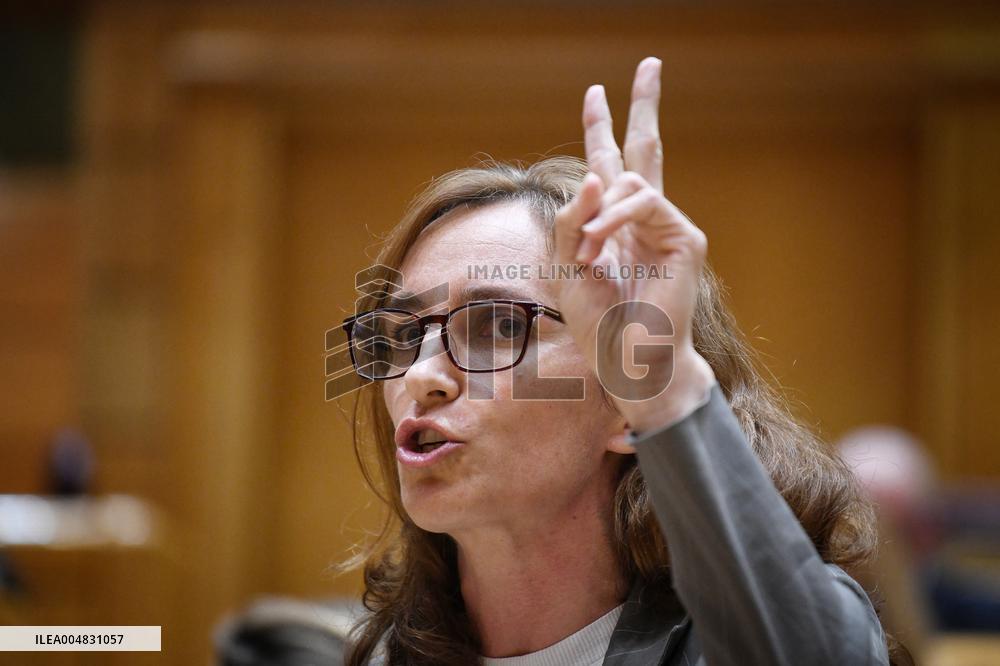 Government Faces Economic Questions in Senate - Madrid